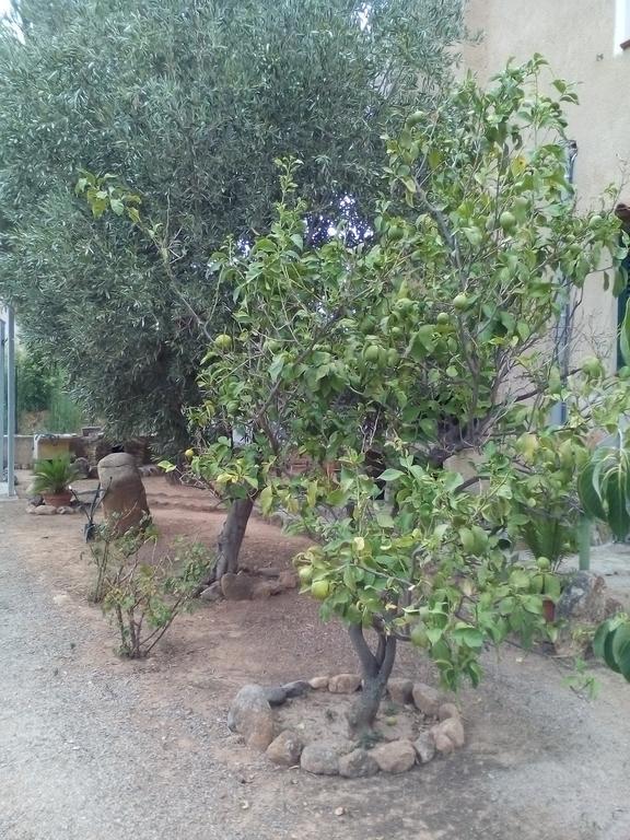 B&B Il Vigneto Capoterra Luaran gambar