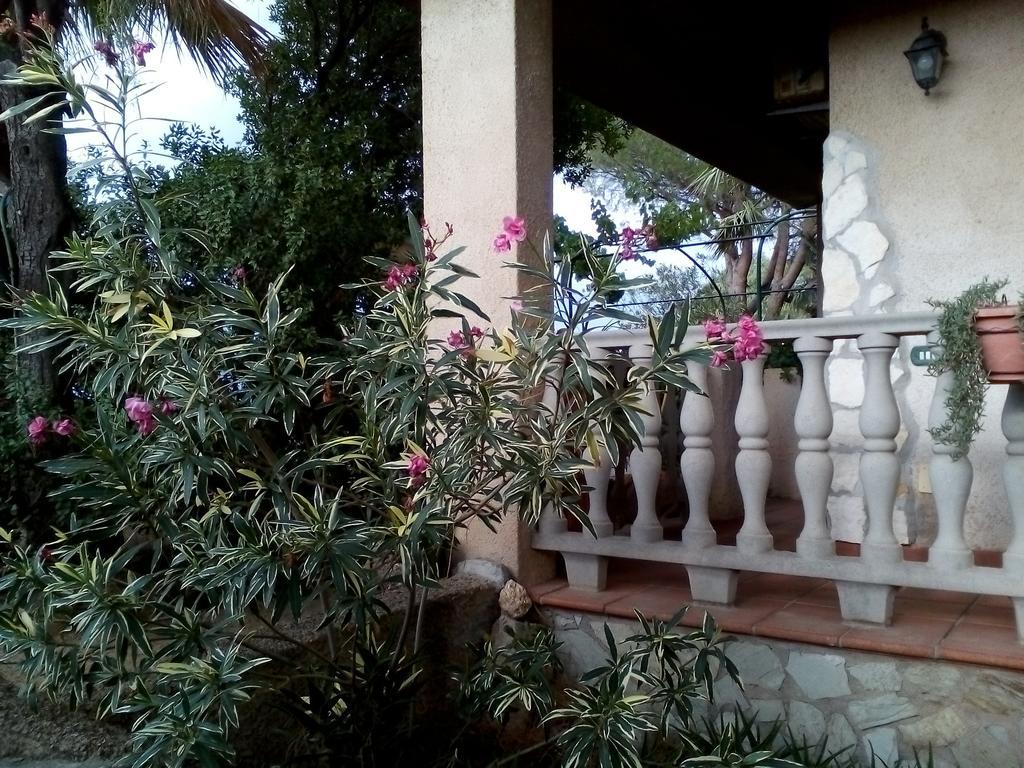B&B Il Vigneto Capoterra Luaran gambar
