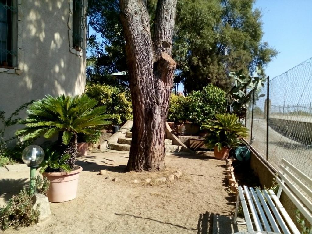 B&B Il Vigneto Capoterra Luaran gambar